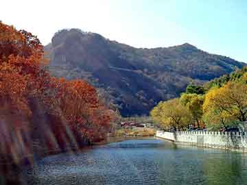 澳门天天免费精准大全，傲虎油耗